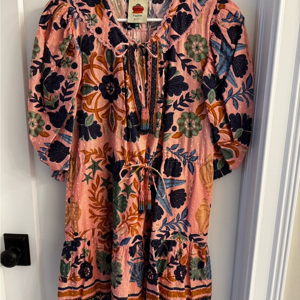 Farm Rio Pink and Blue Dress, Size Medium